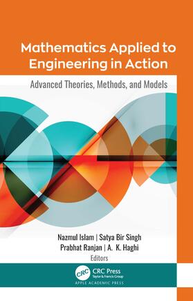 Islam / Singh / Ranjan | Mathematics Applied to Engineering in Action | Buch | 978-1-77188-922-3 | sack.de