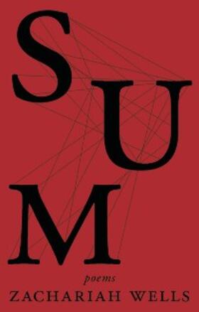 Wells |  Sum | eBook | Sack Fachmedien