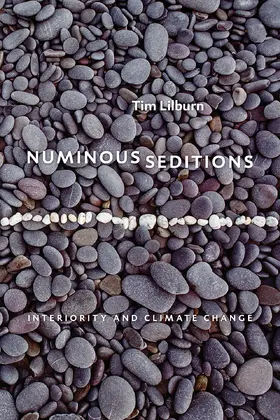 Lilburn |  Numinous Seditions | Buch |  Sack Fachmedien