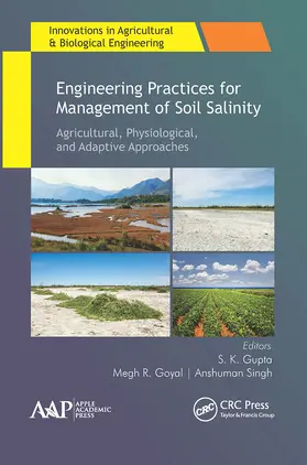 Gupta / Goyal / Singh |  Engineering Practices for Management of Soil Salinity | Buch |  Sack Fachmedien