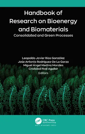 Ríos González / Rodríguez-De La Garza / Medina Morales |  Handbook of Research on Bioenergy and Biomaterials | Buch |  Sack Fachmedien