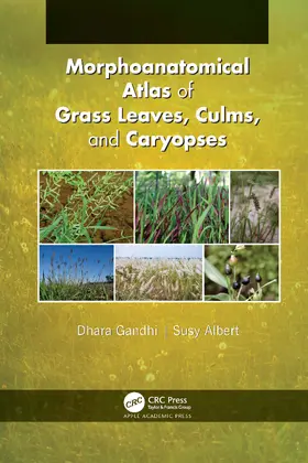 Gandhi / Albert |  Morphoanatomical Atlas of Grass Leaves, Culms, and Caryopses | Buch |  Sack Fachmedien