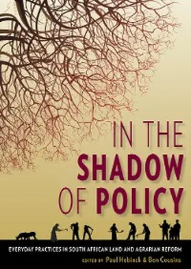Khutswane / Kingwill / Kleinbooi |  In the Shadow of Policy | eBook | Sack Fachmedien