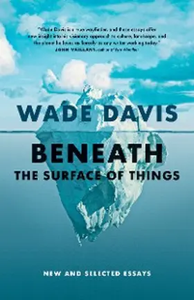 Davis |  Beneath the Surface of Things | eBook | Sack Fachmedien
