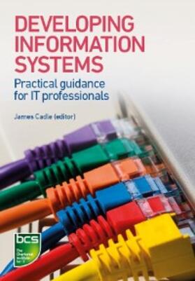Cadle / Ahmed / Cox | Developing Information Systems | E-Book | sack.de