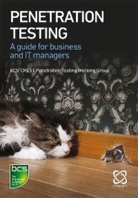 Charlton / Moore / Robinson | Penetration Testing | E-Book | sack.de