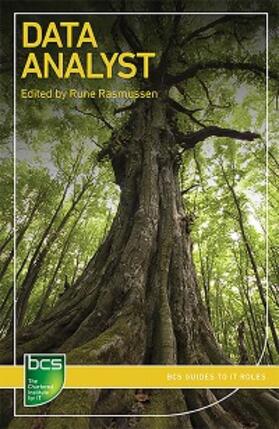 Rasmussen / Gulati / Joseph | Data Analyst | E-Book | www.sack.de