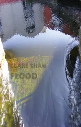 Shaw |  Flood | eBook | Sack Fachmedien