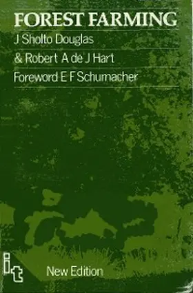 Edmonds |  Foundations for Change | eBook | Sack Fachmedien