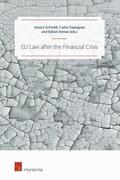 Schmidt |  EU Law after the Financial Crisis | Buch |  Sack Fachmedien