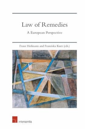Hofmann / Kurz | Law of Remedies | Buch | 978-1-78068-785-8 | sack.de