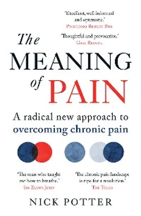Potter |  The Meaning of Pain | eBook | Sack Fachmedien