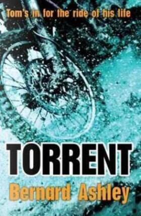 Ashley |  Torrent | Buch |  Sack Fachmedien
