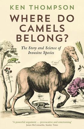 Thompson |  Where Do Camels Belong? | Buch |  Sack Fachmedien
