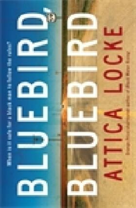 Locke |  Bluebird, Bluebird | Buch |  Sack Fachmedien