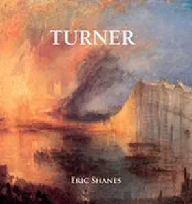 Shanes |  Turner | eBook | Sack Fachmedien