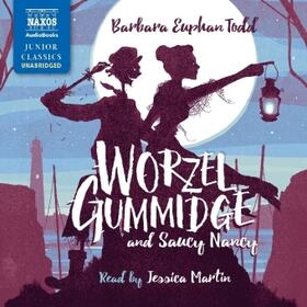 Todd |  Worzel Gummidge and Saucy Nancy | Sonstiges |  Sack Fachmedien