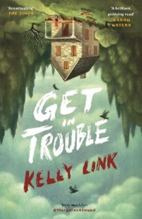 Link |  Get in Trouble | eBook | Sack Fachmedien