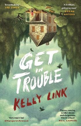 Link |  Get in Trouble | Buch |  Sack Fachmedien