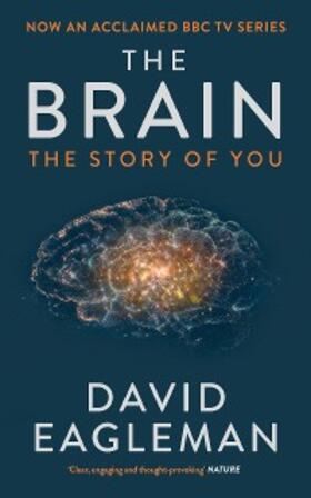 Eagleman |  The Brain | eBook | Sack Fachmedien