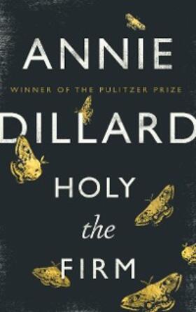 Dillard |  Holy the Firm | eBook | Sack Fachmedien