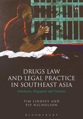 Lindsey / Nicholson | DRUGS LAW & LEGAL PRAC IN SOUT | Buch | 978-1-78225-831-5 | sack.de