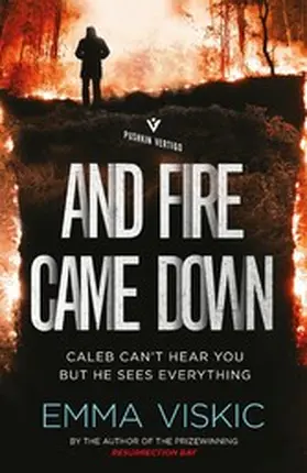 Viskic |  And Fire Came Down | eBook | Sack Fachmedien