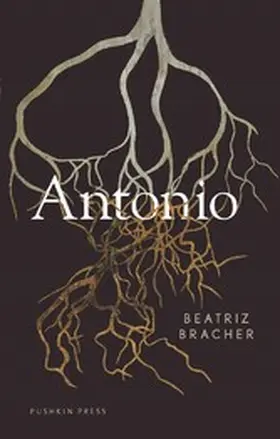 Bracher |  Antonio | eBook | Sack Fachmedien