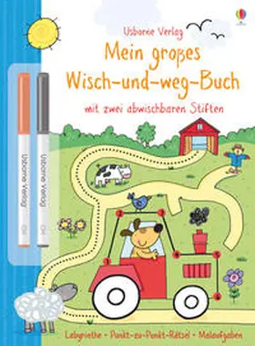 Greenwell / Taplin |  Mein großes Wisch-und-weg-Buch | Buch |  Sack Fachmedien