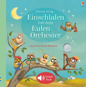 Taplin |  Einschlafen mit dem Eulen-Orchester | Buch |  Sack Fachmedien