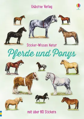 Spector |  Sticker-Wissen Natur: Pferde und Ponys | Buch |  Sack Fachmedien