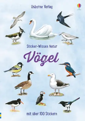 Clarke |  Sticker-Wissen Natur: Vögel | Buch |  Sack Fachmedien