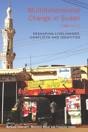 Casciarri / Assal / Ireton |  Multidimensional Change in Sudan (1989-2011) | Buch |  Sack Fachmedien