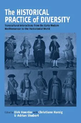 Hoerder |  Historical Practice of Diversity | eBook | Sack Fachmedien