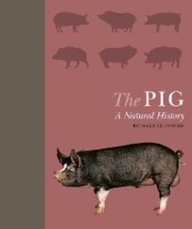 Lutwyche |  The Pig | eBook | Sack Fachmedien