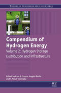 Gupta / Basile |  Compendium of Hydrogen Energy | eBook | Sack Fachmedien