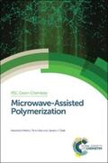 Mishra / Vats / Clark |  Microwave-Assisted Polymerization | eBook | Sack Fachmedien