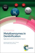 Moura / Pauleta / Maia |  Metalloenzymes in Denitrification | Buch |  Sack Fachmedien