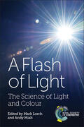 Lorch / Miah |  A Flash of Light | Buch |  Sack Fachmedien