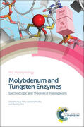 Hille / Schulzke / Kirk |  Molybdenum and Tungsten Enzymes | Buch |  Sack Fachmedien
