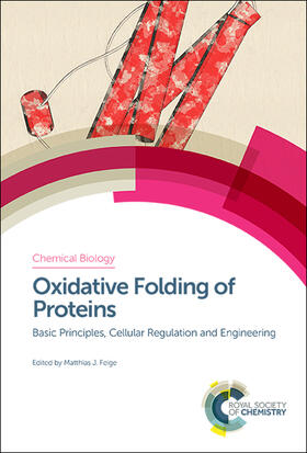 Feige | Oxidative Folding of Proteins | Buch | 978-1-78262-990-0 | sack.de