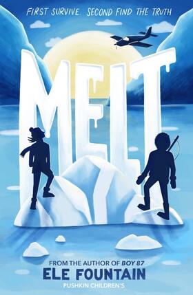 Fountain |  Melt | Buch |  Sack Fachmedien