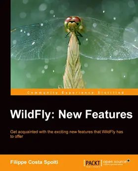 C Spolti |  WildFly: New Features | eBook | Sack Fachmedien