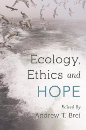 Brei |  Ecology, Ethics and Hope | eBook | Sack Fachmedien