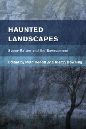 Heholt / Downing |  Haunted Landscapes | eBook | Sack Fachmedien