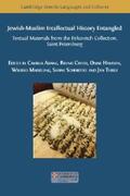 Adang / Chiesa / Hamdan |  Jewish-Muslim Intellectual History Entangled: Textual Materials from the Firkovitch Collection, Saint Petersburg | eBook | Sack Fachmedien
