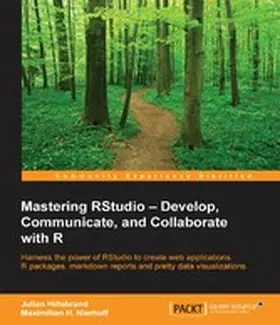 Hillebrand |  Mastering RStudio: Develop, Communicate, and Collaborate with R | eBook | Sack Fachmedien