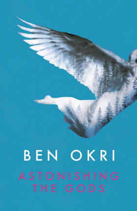 Okri |  Astonishing the Gods | Buch |  Sack Fachmedien