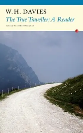 Davies / Waterman |  The True Traveller | eBook | Sack Fachmedien