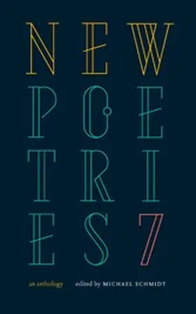 Schmidt |  New Poetries VII | eBook | Sack Fachmedien